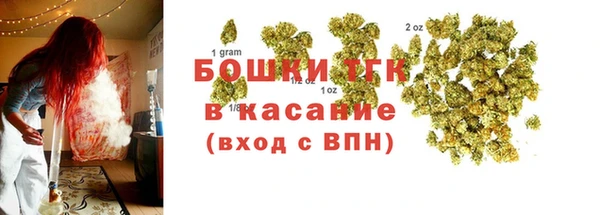 прущие грибы Алексин