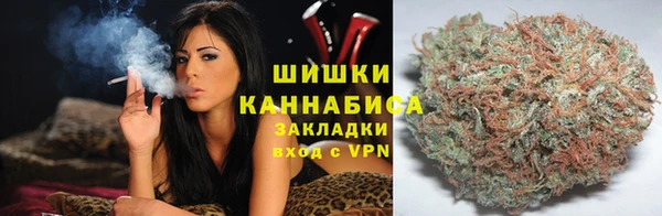 гидропоника Абаза