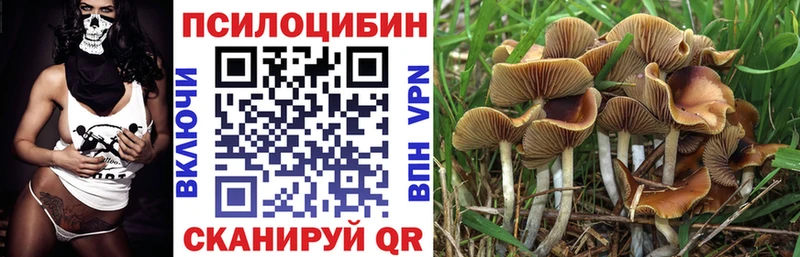 Галлюциногенные грибы мухоморы  hydra зеркало  Кировград 